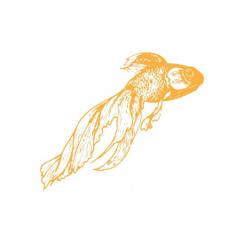 Тимчасове тату Золота рибка Arleysign 50x55 мм