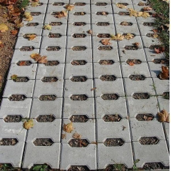 Тротуарная плитка Золотой Мандарин Двойное Т 200х170х70 мм серый Вольнянск