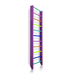 Шведська дитяча стінка SportBaby Sport 0-220 purple дерев'яна фіолетового кольору Івано-Франківськ