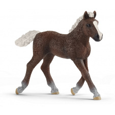 Игровая фигурка Schleich Шварцвальдский жеребенок 80х22х75 мм (6688020)
