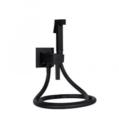 Гігієнічний душ Qtap Inspai-Varius (QT259710842859NB) Фастов