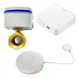 Бездротова система захисту від протікання води 1DAL MiniKit 1/2" (MNKT12)