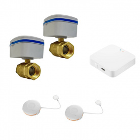 Бездротова система захисту від протікання води 1DAL MaxKit 1/2" (MXKT12)