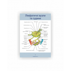Методическое пособие Vivay Лімфатична система А4 10 с (hub_iaeoi1) Черкассы