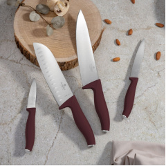 Набор ножей Berlinger Haus Matte Leonardo Collection 4 шт Бордовый (BH-2958) Киев