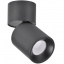 Точковий світильник Polux Nixa 8.2x8.2x17 см Чорний (Pol314246) Калуш