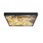 Потолочный светильник Candellux Luxan 59x59x5 см Черный (10-17031) Свесса