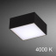 Точковий світильник Imperium Light Quad 12x5 см Чорний (424112.05.92) Чернігів