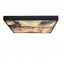 Стельовий світильник Candellux Luxan 59x59x5 см Чорний (10-14573) Новомосковськ