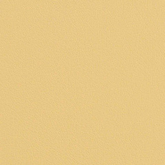 Диван офисный Tobi Sho Арне с подлокотниками 1880х700х740 мм, кожзам Camel/2201 Хмельницкий