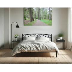 Кровать Tobi Sho VERONA-1 двухспальная металлическая 190X160 Черный Тернополь
