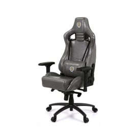 Крісло АКЛАС Ретчет PL MB Сіре