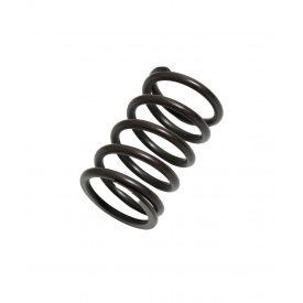 Пружина клапанів зовнішня OEM ВАЗ 2108 21099 2110 (21080-100702000)