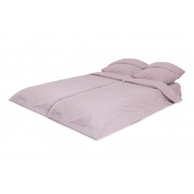 Комплект постільної білизни Деметра-17 (сімейний, бязь gold lux, наволочки: 50х70 см 2 шт та 70х70 см 2 шт, клітинка, пудра) IMI