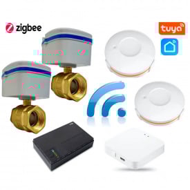 Smart захист від протікання води 1DAL Бездротова автономна ZigBee система проти потопу ProfiKit 1/2", APP "Tuya"