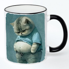 Чашка No Brand Cat 330 мл Разноцветный (chaska-cat-19)