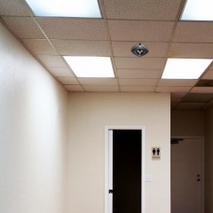 Інфрачервоний датчик руху Ardero SEN53 20 м 2000 Вт Black (iz16824) Єланець