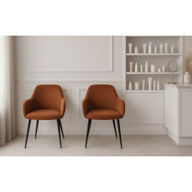 Комплект обеденных стульев Терра М-220 (2 шт.) с подлокотниками, мохер Карамель/черный, для кухни, столовой, 830×550×580 мм