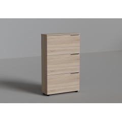 Тумба для взуття №6, Готові кольорові рішення Дуб Бароко Бурштиновий Геническ