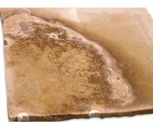 Сляби пісковику 220*64*2 см