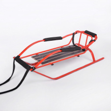 Санки скелетон 