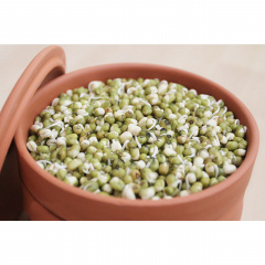 Глиняные горшки для проращивания Hawos Tonkeimer Луцк