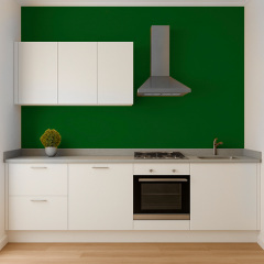 Фарба силіконова для вологих приміщень Skyline 5540-G20Y (C) Смарагд 5 л (2589082095) Хуст