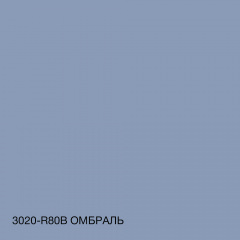 Краска фасадная силиконовая Skyline Силиконфасад 3020-R80B Омбраль 3 л (2595725020) Коломыя