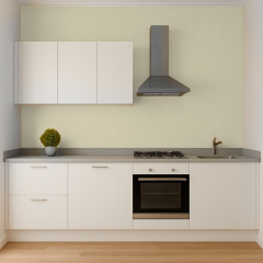 Фарба силіконова для вологих приміщень Skyline 2010-Y Кремін 1 л (2589082006) Свеса