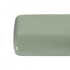 Сімейний комплект на резинці COSAS MEDITATIVE Ранфорс 2х160х220 см Спаржа Березне