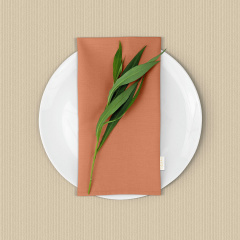 Скатертина на стіл водовідштовхувальна COSAS 160х220 BISCUIT Київ