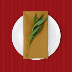 Скатерть на стол водоотталкивающая COSAS 140х250 CHILLI Киев