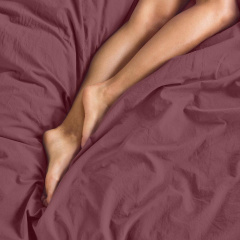 Євро постільна білизна Blueberry CS2 COSAS Сливовий 200х220 см Вознесенськ