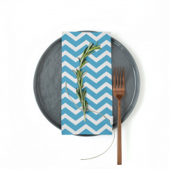 Набір серветок COSAS SKYEY ZIGZAG Ранфорс 35х35 см 2 шт Блакитний Цумань