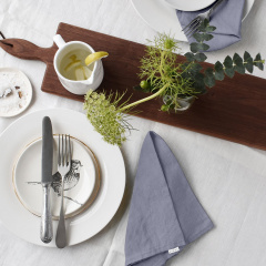 Набор салфеток COSAS STORMY Ранфорс 35х35 см 2 шт. Гайсин