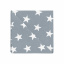 Набір серветок COSAS GREY STARS Ранфорс 30х30 см 2 шт Сірий Бородянка