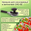 Крышка для консервации Панночка Автоклавная Петриковка СКО 150 шт (9005) Братское