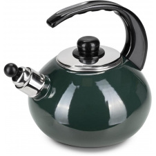 Чайник для плиты Boiling Water 2,5л green Kamille DP262130