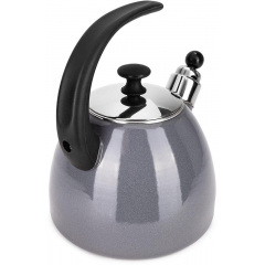 Чайник для плиты Boiling Water 2,5л grey Kamille DP262133 Ладан