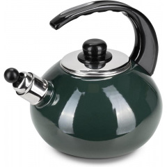 Чайник для плити Boiling Water 2,5л green Kamille DP262130 Коломия