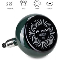 Чайник для плити Boiling Water 2,5л green Kamille DP262130 Коломия