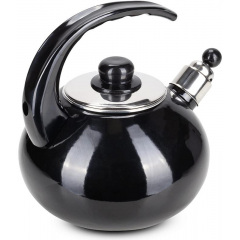 Чайник для плиты Boiling Water 2,5л black Kamille DP262127 Бородянка
