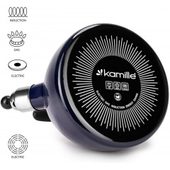 Чайник для плиты Boiling Water 2,5л blue Kamille DP262134 Новая Каховка