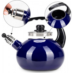 Чайник для плиты Boiling Water 2,5л blue Kamille DP262129 Ромны