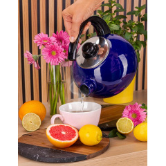 Чайник для плиты Boiling Water 2,5л blue Kamille DP262129 Ромны