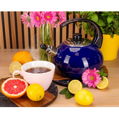 Чайник для плиты Boiling Water 2,5л blue Kamille DP262129 Ромны