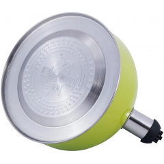 Чайник для плиты Young Leaf из нержавеющей стали 2,5л green Kamille DP262105 Дубно