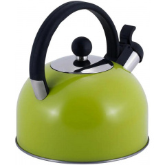 Чайник для плиты Young Leaf из нержавеющей стали 2,5л green Kamille DP262105 Дубно