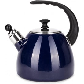 Чайник для плити Boiling Water 2,5л blue Kamille DP262134