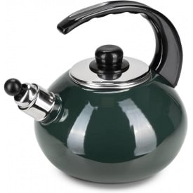 Чайник для плиты Boiling Water 2,5л green Kamille DP262130